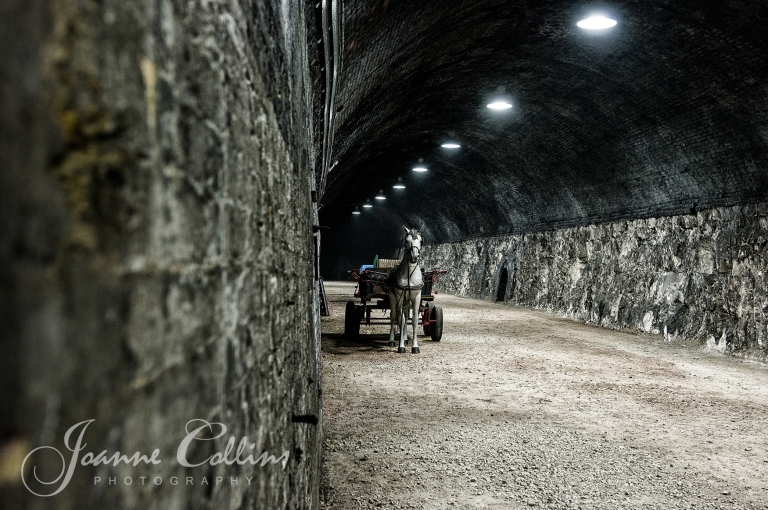 Ramsgate Wartime Tunnels Kent Photography the horse and cart