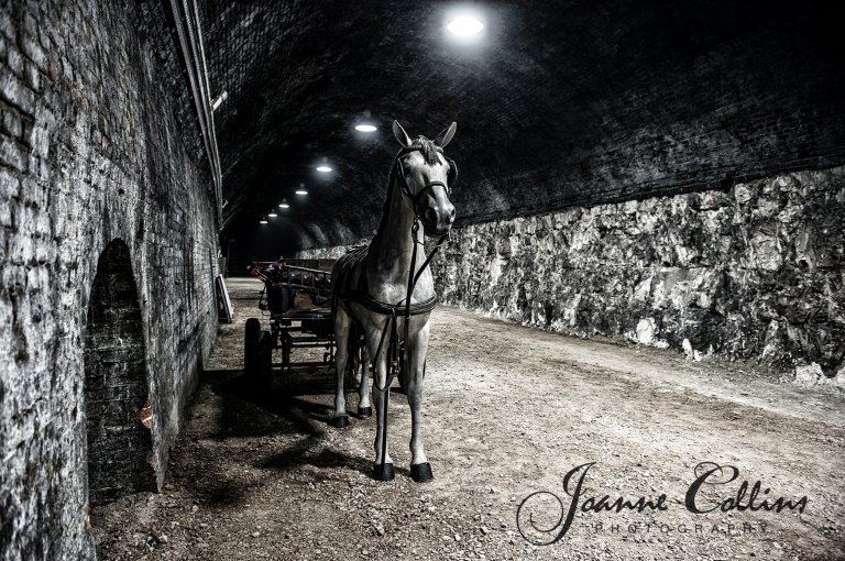 Ramsgate  Wartime Tunnels Kent Photography the horse and cart