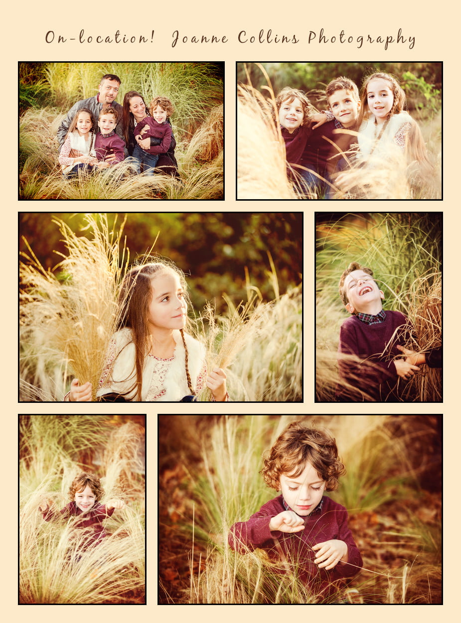 family on-location photography at mote park maidstone kent playing in the long dry grass