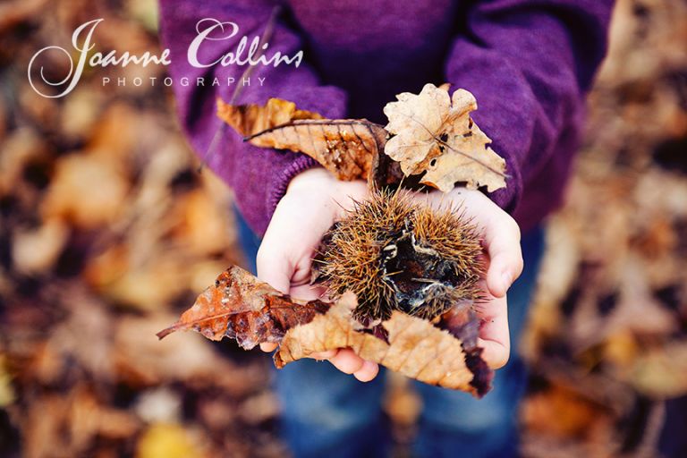 onlocation photography mote park maidstone young boy with conkers and leaves