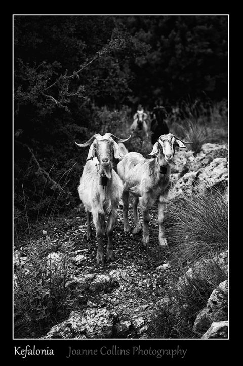 Travel Photography Kefalonia - The prettiest of the Greek Islands