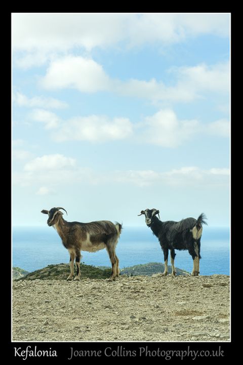 Travel Photography Kefalonia - The prettiest of the Greek Islands