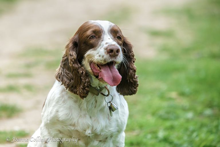 Family Onlocation Photographer Maidstone