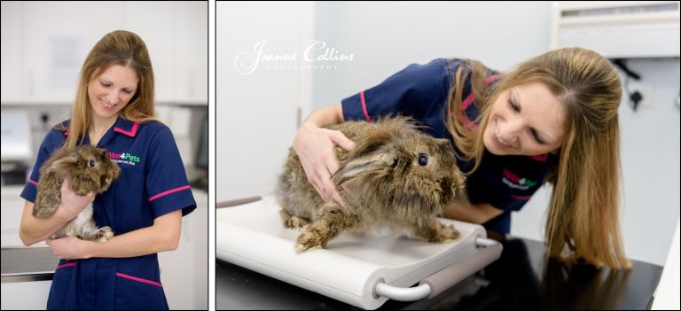 Vets4Pets Commercial Photographer Sittingbourne