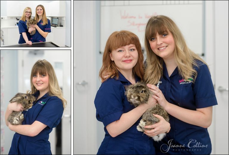 Vets4Pets Commercial Photographer Sittingbourne
