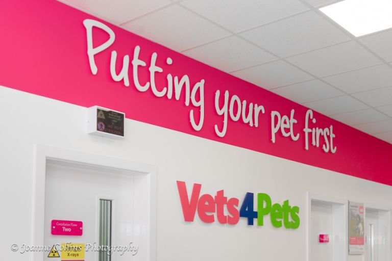 Vets4Pets Commercial Photographer Sittingbourne