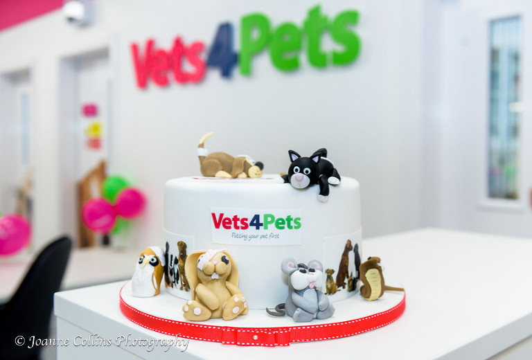 Vets4Pets Commercial Photographer Sittingbourne
