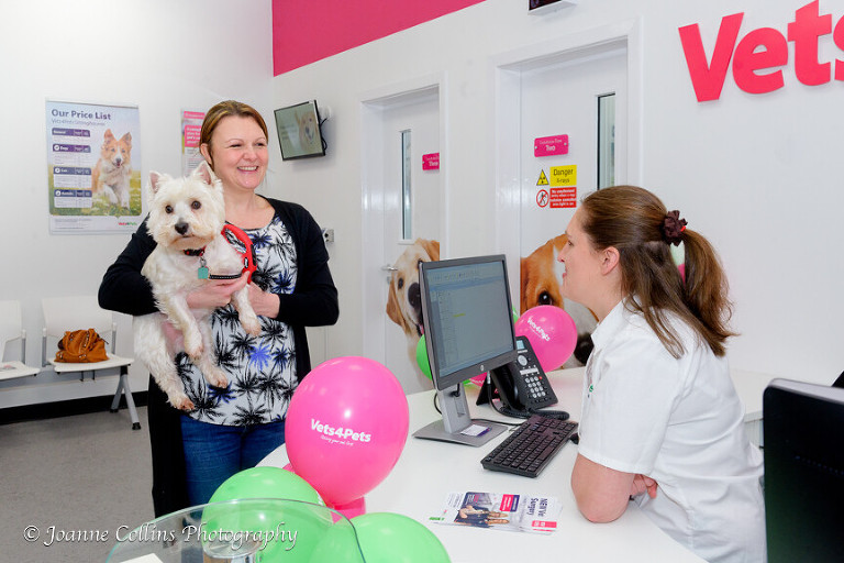 Vets4Pets Commercial Photographer Sittingbourne