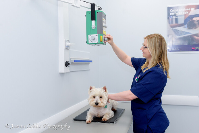 Vets4Pets Commercial Photographer Sittingbourne