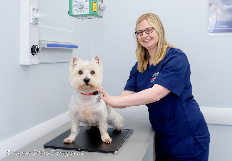 Vets4Pets Commercial Photographer Sittingbourne