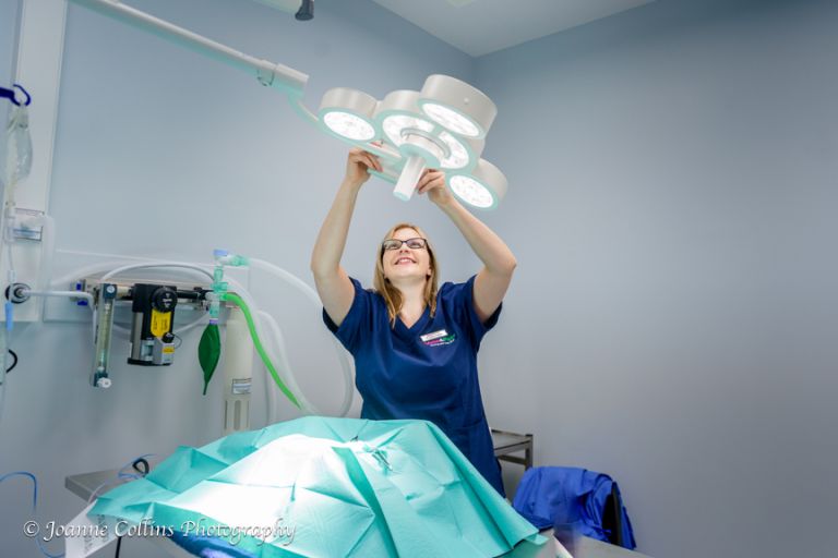 Vets4Pets Commercial Photographer Sittingbourne