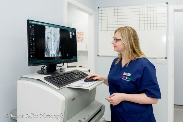 Vets4Pets Commercial Photographer Sittingbourne