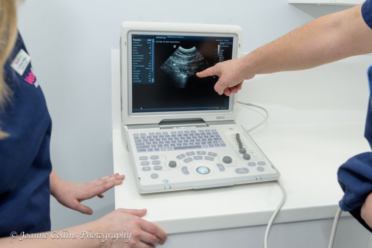 Vets4Pets Commercial Photographer Sittingbourne