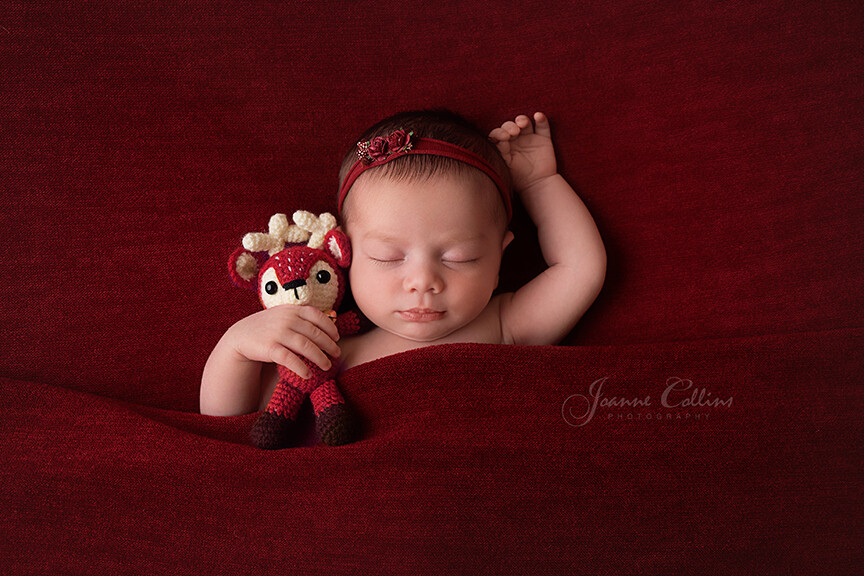 Baby Photographer Bromley 11 days new baby with reindeer