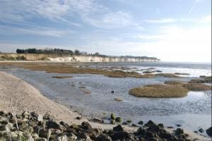 Sandwich & Pegwell Bay National Nature Reserve onlocation photography kent